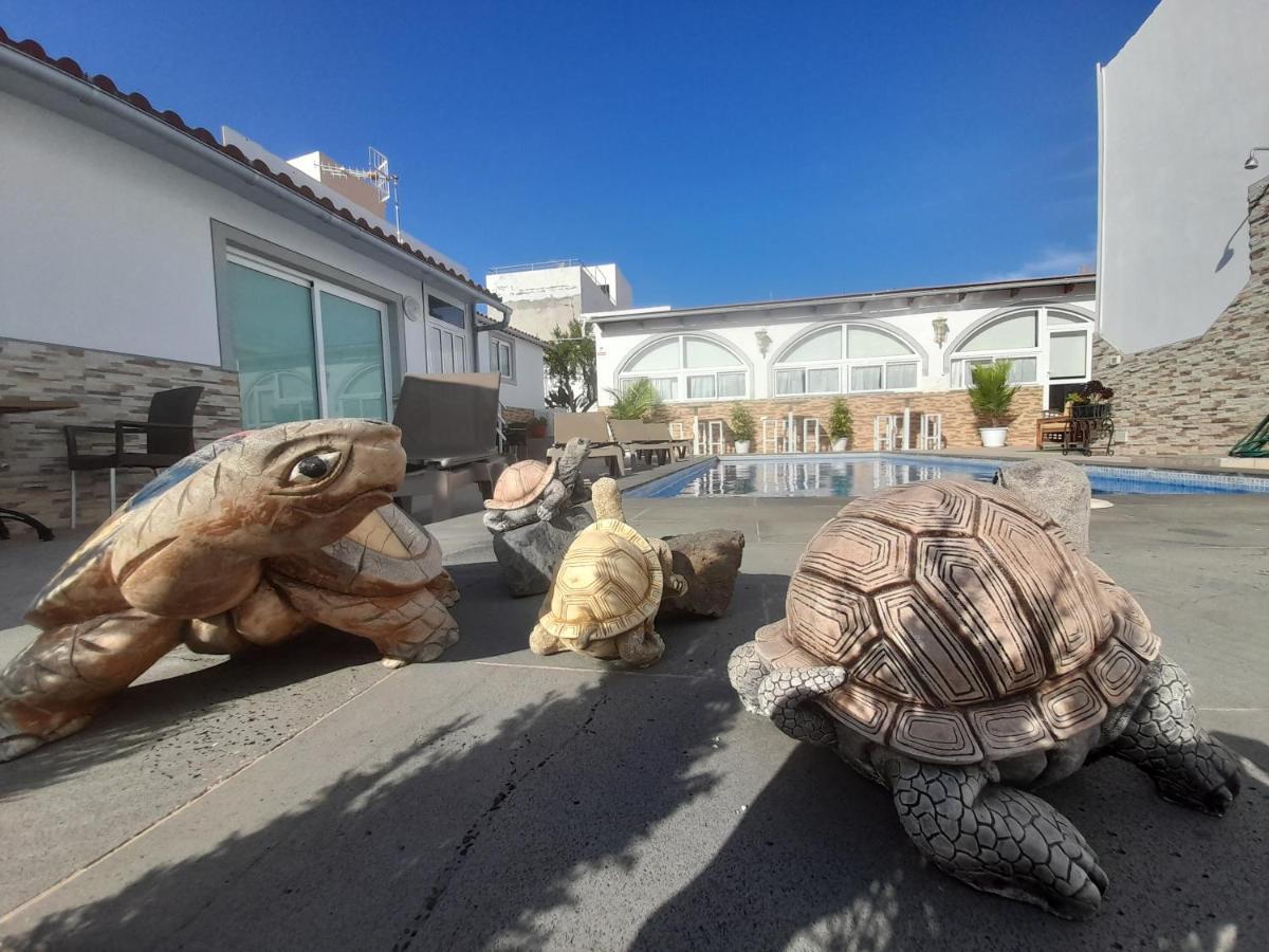 Apartment Tenerife Little Village 1d